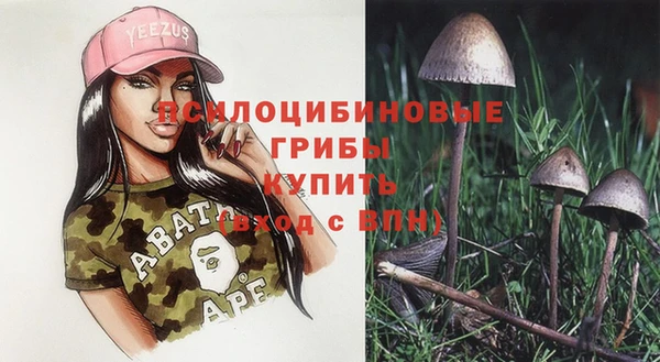 амф Абаза