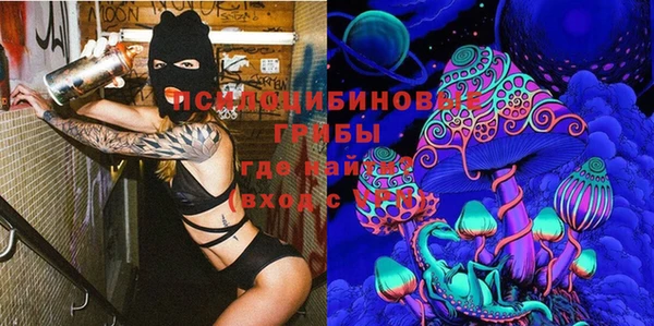 амф Абаза