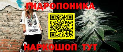 прущие грибы Мариинск