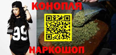 прущие грибы Мариинск
