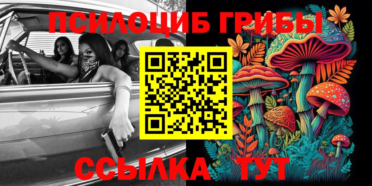 Псилоцибиновые грибы Psilocybe Дивногорск